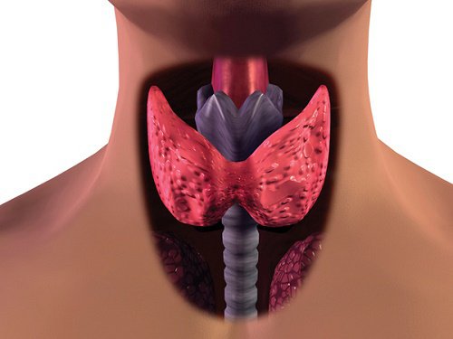 Cancerul tiroidian la femei: simptome posibile