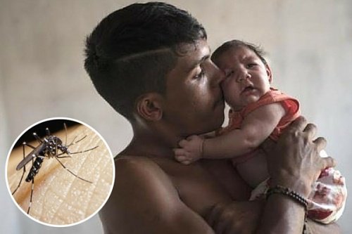 10 informații importante despre Virusul Zika