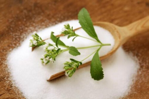 Cultivi stevia acasă ca și îndulcitor