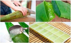 Cum să depozitezi gelul de aloe vera