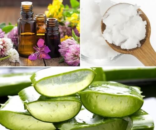 gel-natural Prepară acasă un gel natural din aloe vera și ulei de cocos