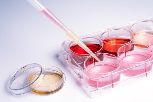 Celulele endometriale salvează vieți
