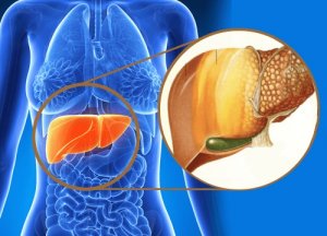 Ficatul și acumularea toxinelor – 9 semnale de alarmă