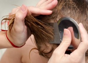 7 remedii naturale împotriva păduchilor