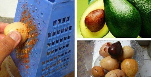 Semințele de avocado: 10 beneficii