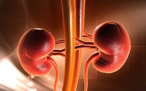 Dacă te abții de la urinat, poți dezvolta pietre la rinichi