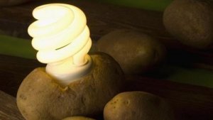 Află cum să-ți luminezi camera cu un cartof