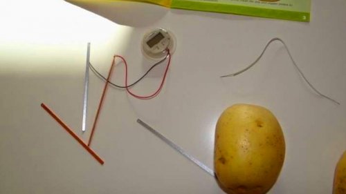 Pentru a lumina o cameră cu un cartof, ai nevoie de niște fire de cupru