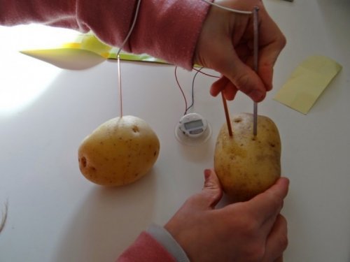 Un cartof în sine nu poate genera electricitate