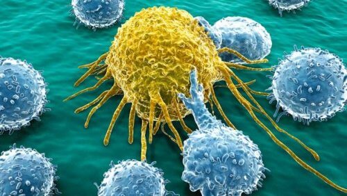 Celule canceroase depistate cu ajutorul testelor medicale