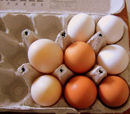 Cofrajele de ouă reutilizate în gospodărie