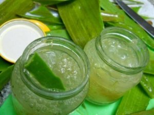Cum să prepari gel de aloe vera natural