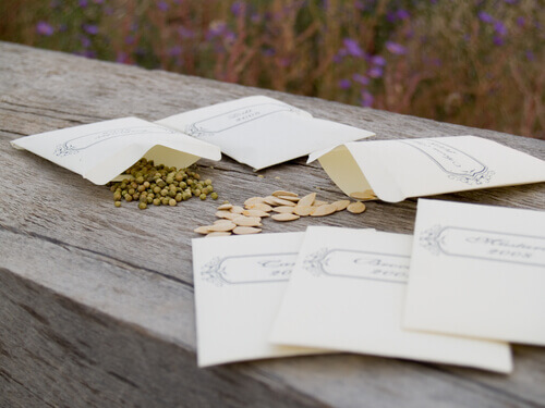 Prosoapele de hârtie prezintă utilizări alternative pentru semințe