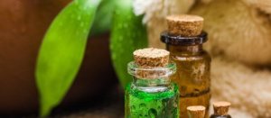 Uleiul de arbore de ceai – 5 utilizări inedite