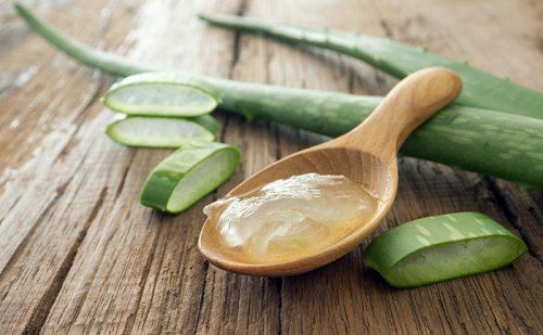 Remedii naturiste pentru tratarea urciorului precum aloe vera