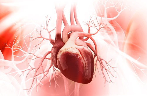 Sindromul inimii frânte și metode de prevenire