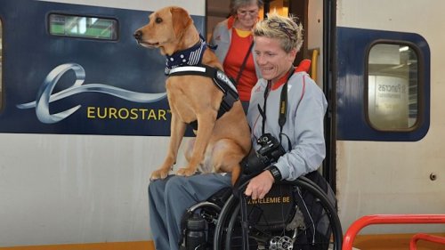 Sportiva paralimpică Marieke Vervoort în scaun cu rotile