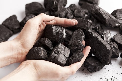 Utilizările cărbunilor în gospodărie