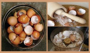 6 remedii naturiste cu cojile de ouă