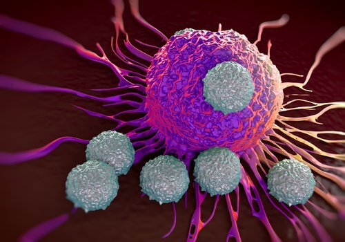 Beneficii ale graviolei anticancerigene