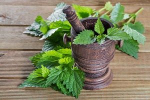 Tratează menstruațiile abundente cu urzici
