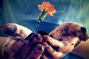 Dragostea trebuie hrănită în fiecare zi pentru a înflori