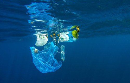 Efectele nocive ale plasticului precum poluarea apei 