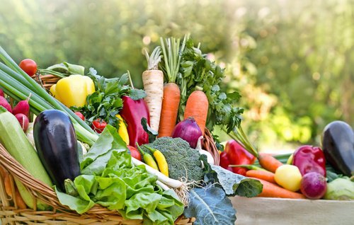 grădinile bune vă ajută să pierdeți în greutate bpi burner de grăsime
