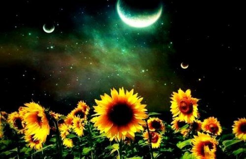 Legăturile emoționale valorează mai mult decât bogățiile materiale