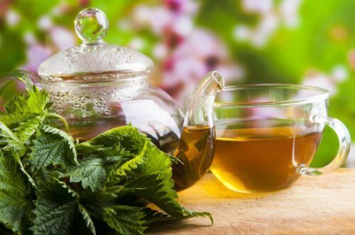 Ceaiul de urzică poate ajuta în tratamentul cârceilor