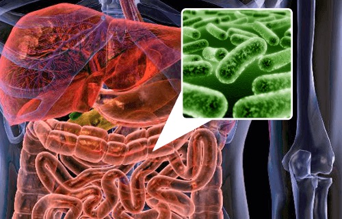 Printre altele, flatulența poate fi cauzată de dezechilibrele florei intestinale