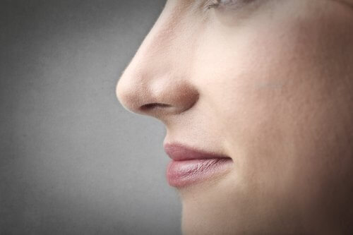 Cum determină genele aspectul nasului