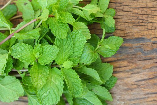 Menta îmbunătățește digestia și metabolismul