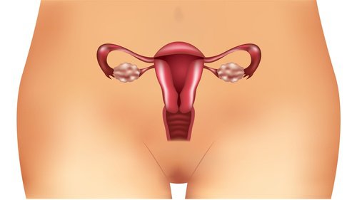 Ovarele polichistice: lucruri mai puțin știute