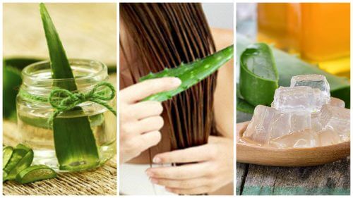 5 tratamente cu aloe vera pentru întărirea părului