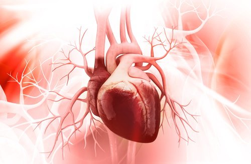 Beneficii incredibile ale merelor pentru aparatul cardiovascular