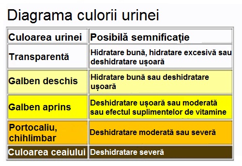 Culoarea urinei indică nivelul de hidratare a organismului