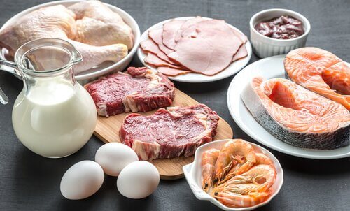 Proteinele stimulează arderea grăsimilor
