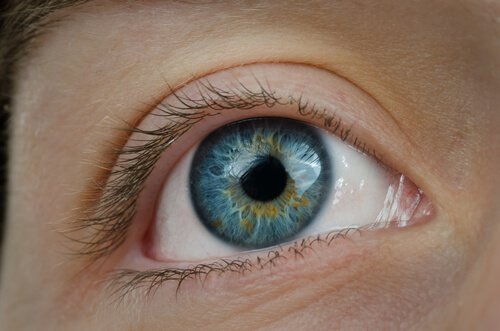 Afinele susțin sănătatea oculară