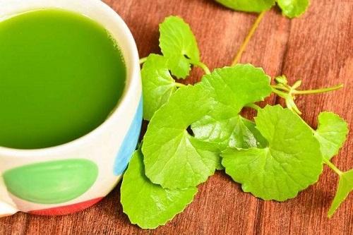 Infuzii cu Centella asiatica