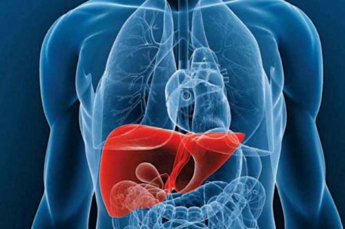 Ficatul trebuie detoxificat în mod regulat