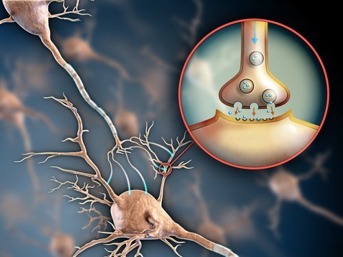 Întărirea sistemului nervos cu remedii naturale