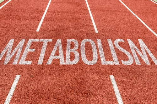 Secretul privind arderea grăsimilor este un metabolism bun