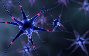 6 trucuri pentru întărirea sistemului nervos