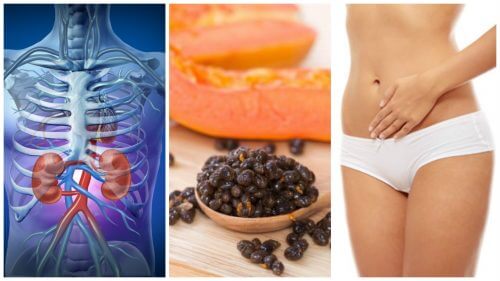 6 beneficii ale semințelor de papaya 6 beneficii ale semințelor de papaya