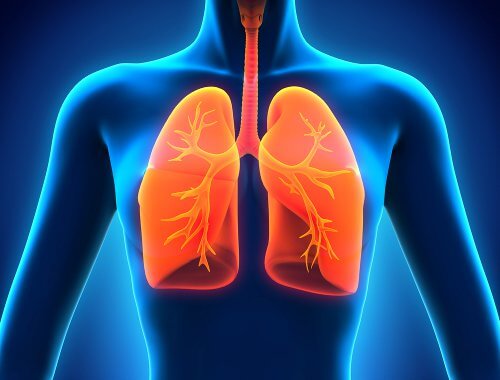 Există multe beneficii ale vinului roșu pentru aparatul respirator