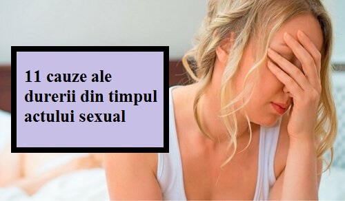 Reacțiile corpului în timpul sexului | Zanzu