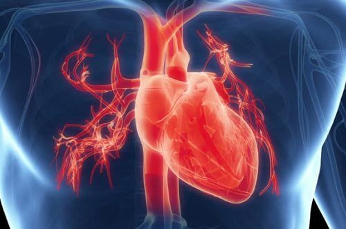 7 simptome care arată că ai probleme cu inima