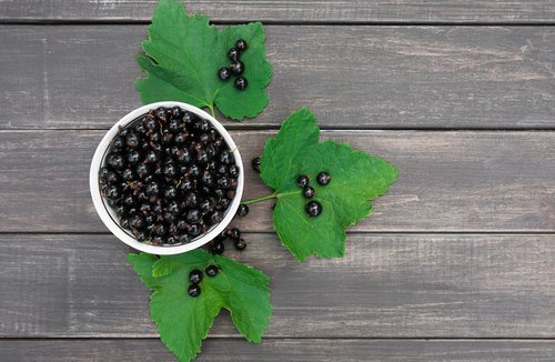 Multe remedii naturiste pentru cicatrici includ fructe de pădure
