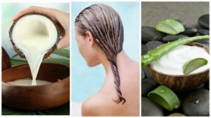 Remediu împotriva căderii părului cu aloe vera